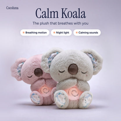 Calm Koala